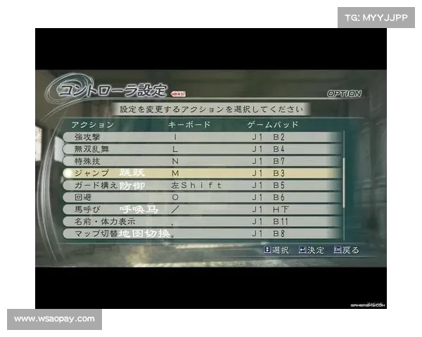 《真三国无双全攻略必备技巧全解解析武将搭配与战术布局详尽指南》
