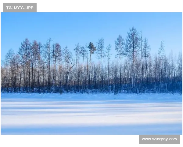 冬季湖畔雪景魅力十足的十大推荐目的地让你领略冰雪中的静谧美景