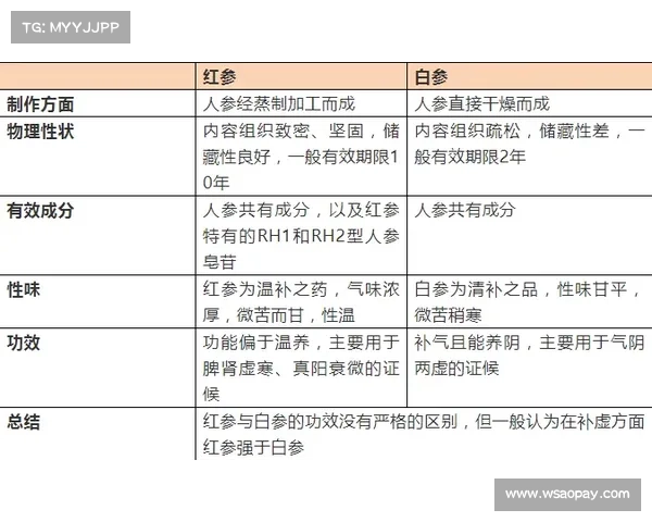 北美洲杯赛新手入门指南全面解析比赛规则技巧与参赛注意事项