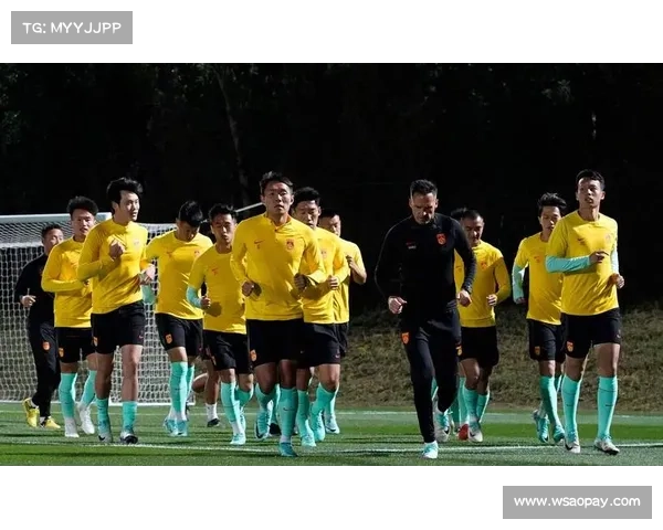 卡塔尔国足崛起背后的多重因素探析与成功路径解析