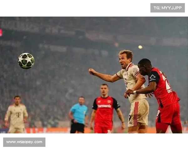 德甲长期一强独大之谜揭示拜仁为何难遇真正挑战者 德甲长期一强独大之谜揭示拜仁为何难遇真正挑战者